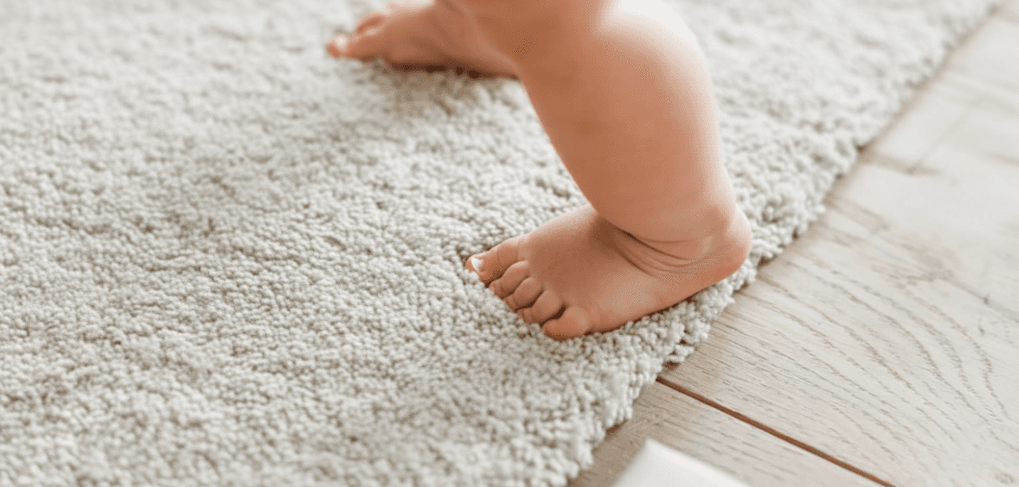 Carpet & Textile Odor Control