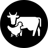 Livestock and Poultry Farming