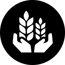Probiotic Bacteria in Agriculture