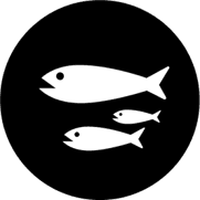 Probiotics in Fish Farming