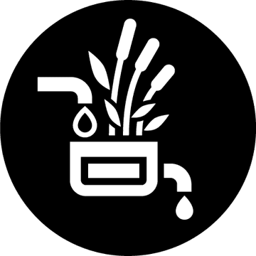 Synergy of PBA & Reed Bed Systems