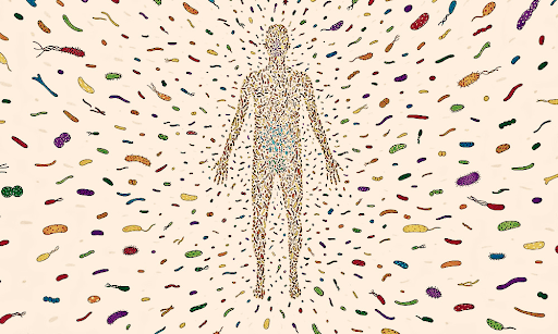 Microbiome and Mental Health: The Gut-Brain Axis