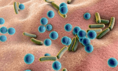 The Skin Microbiome